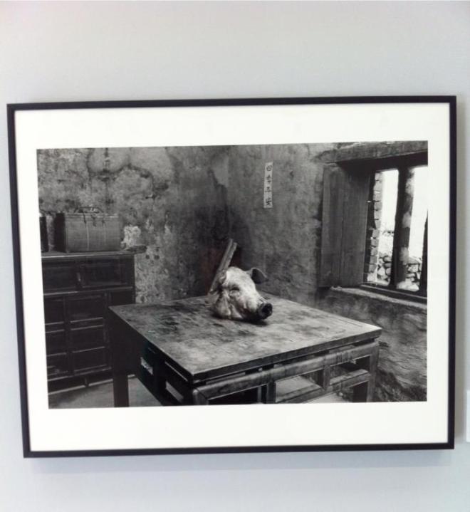 1013245_10202307702555002_149105037_n