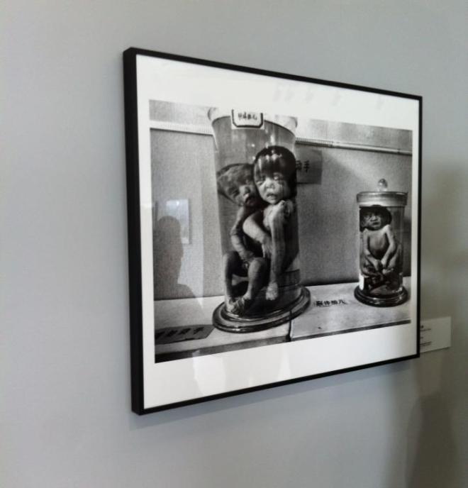 1390722_10202307702274995_1334561895_n