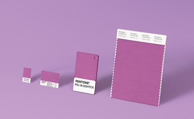 PANTON PURPLE 2014