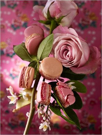 Rose macaron