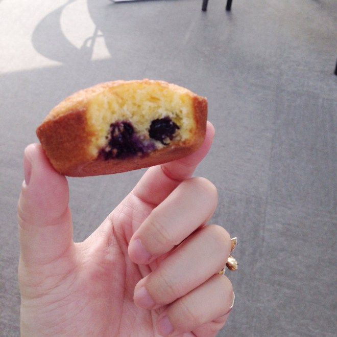 Lasharlote-blueberry lemon Madeleine